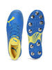 Puma Spike 22.1 Cricket Shoes