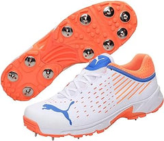 61cplsms53l. Ac Uy300 .jpg