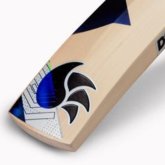 Externallink Dsc Cricket Blak English Willow 5 13