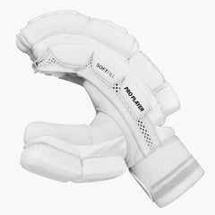 Externallink dsc cricket pro players batting gloves 2