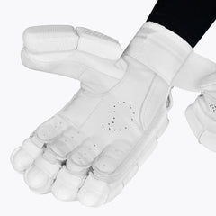 Externallink dsc cricket pro players batting gloves 3