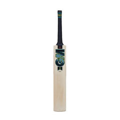 Externallink Gm Aion 808 Cricket Bat 2024