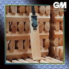 GM AION 808 SH English Willow Cricket Bat