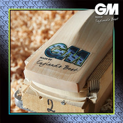 GM AION PREMIER (404) SH English Willow Cricket Bat