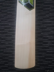 WhatsApp Image 2023 02 01 at 2.10.41 PM 2