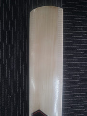 WhatsApp Image 2023 02 01 at 2.54.58 PM