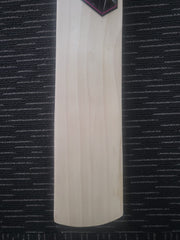 WhatsApp Image 2023 02 01 at 2.54.59 PM 2