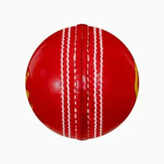 DSC Match Grade Cricket Ball