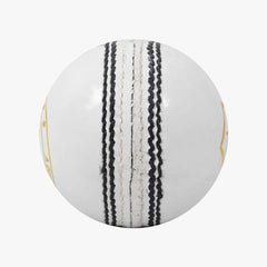 DSC Pace 20 Cricket Ball