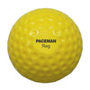 BOWLING MACHINE BALLS PACEMAN REG