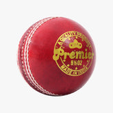 DSC Premier Cricket Ball