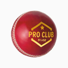 DSC Pro Club Cricket Ball