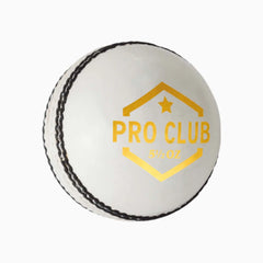 DSC Pro Club Cricket Ball