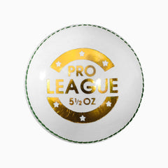 DSC Pro League Cricket Ball