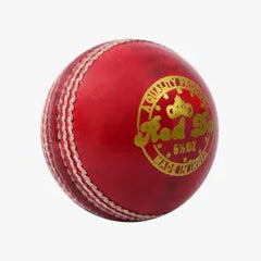 DSC Red Dot Cricket Ball