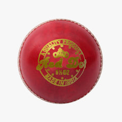 DSC Red Dot Cricket Ball