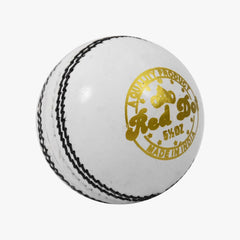 DSC Red Dot Cricket Ball