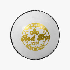 DSC Red Dot Cricket Ball