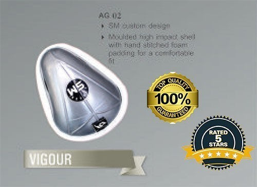 sm pintu abdo guard vigour 374 1