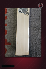 SS Ton Finn Allen Player Elite English Willow Cricket Bat - real store bat detail image