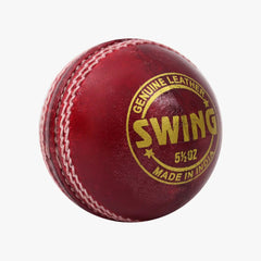 DSC Swing Cricket Ball