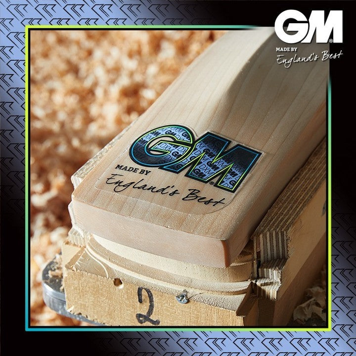 GM AION 808 SH English Willow Cricket Bat