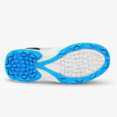 DSC Zooter Blue Rubber Sole Cricket Shoes