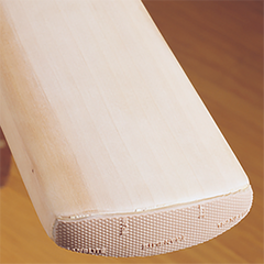 Gray Nicolls Toe Shield black