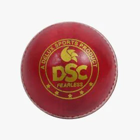 DSC Pace 20 Cricket Ball