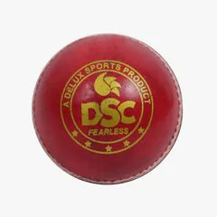 DSC Pace 20 Cricket Ball