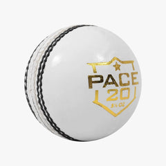 DSC Pace 20 Cricket Ball