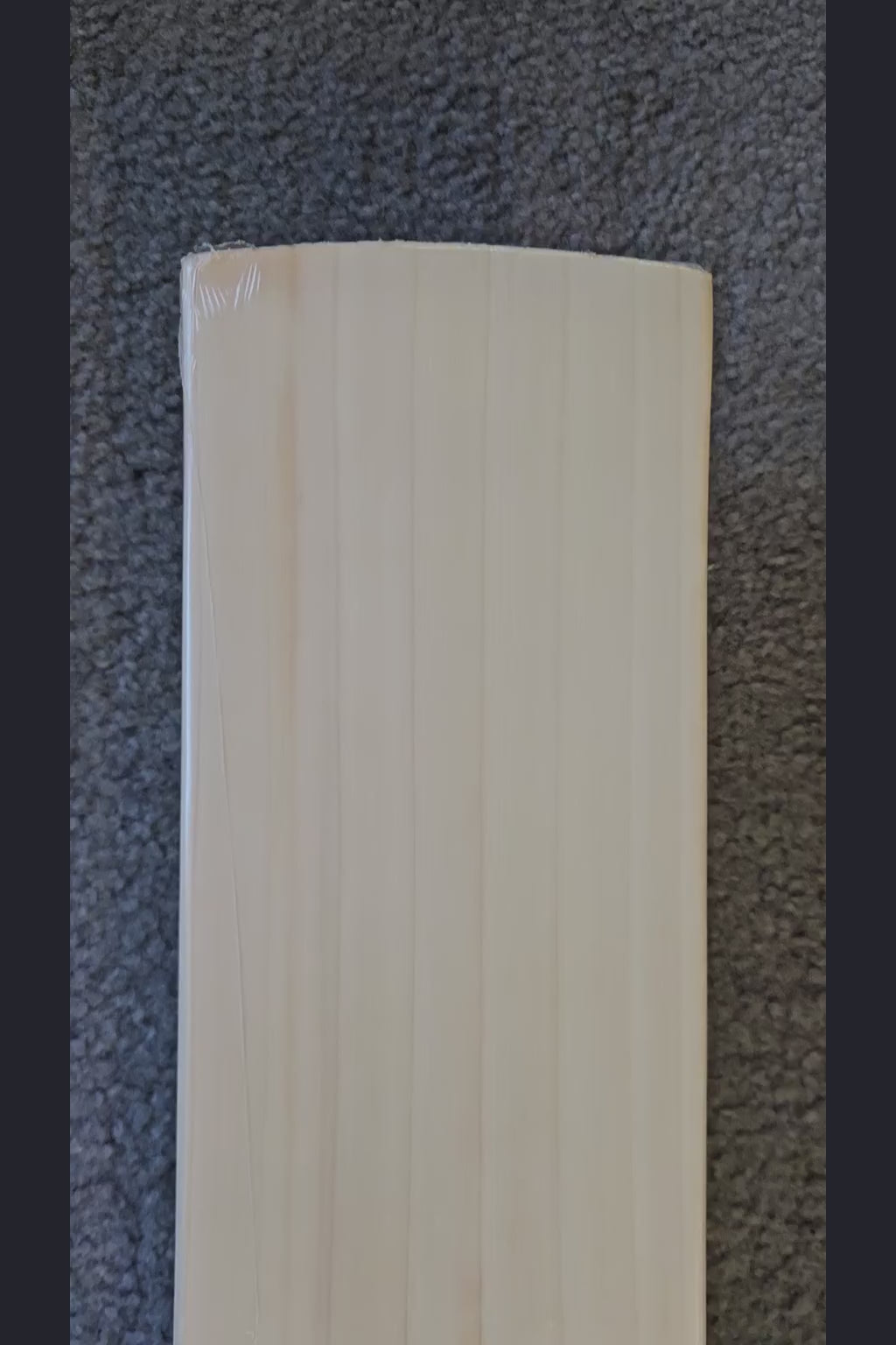 SS Ton Devon Conway Player Max English Willow Cricket Bat - product video