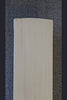 SS Ton Devon Conway Player Max English Willow Cricket Bat - product video