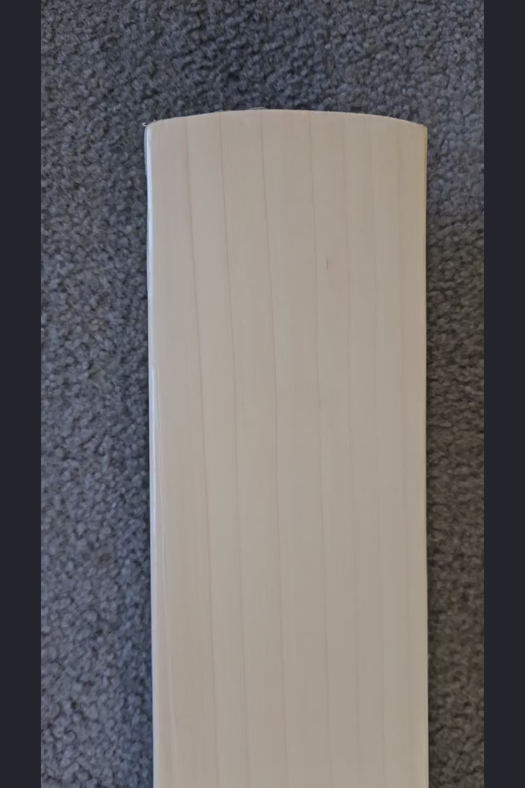 SS Ton Devon Conway Player Pro English Willow Cricket Bat - product video