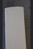 SS Ton Finn Allen Player Premium English Willow Cricket Bat - product video