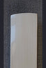 SS Ton Finn Allen Player Pro English Willow Cricket Bat - product video