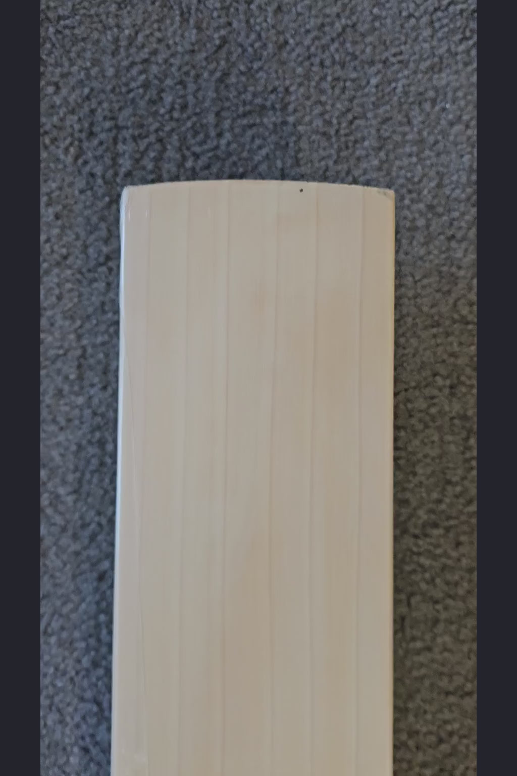 SS Ton Devon Conway Player Plus English Willow Cricket Bat - product video