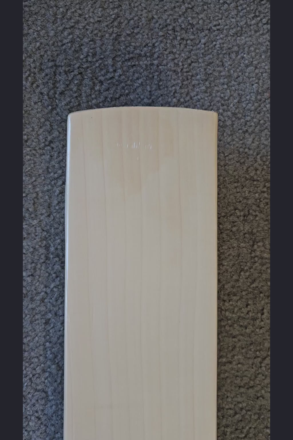 SS Ton Tim Seifert Player Plus English Willow Cricket Bat - product video