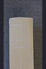 SS Ton Finn Allen Player Plus English Willow Cricket Bat - product video