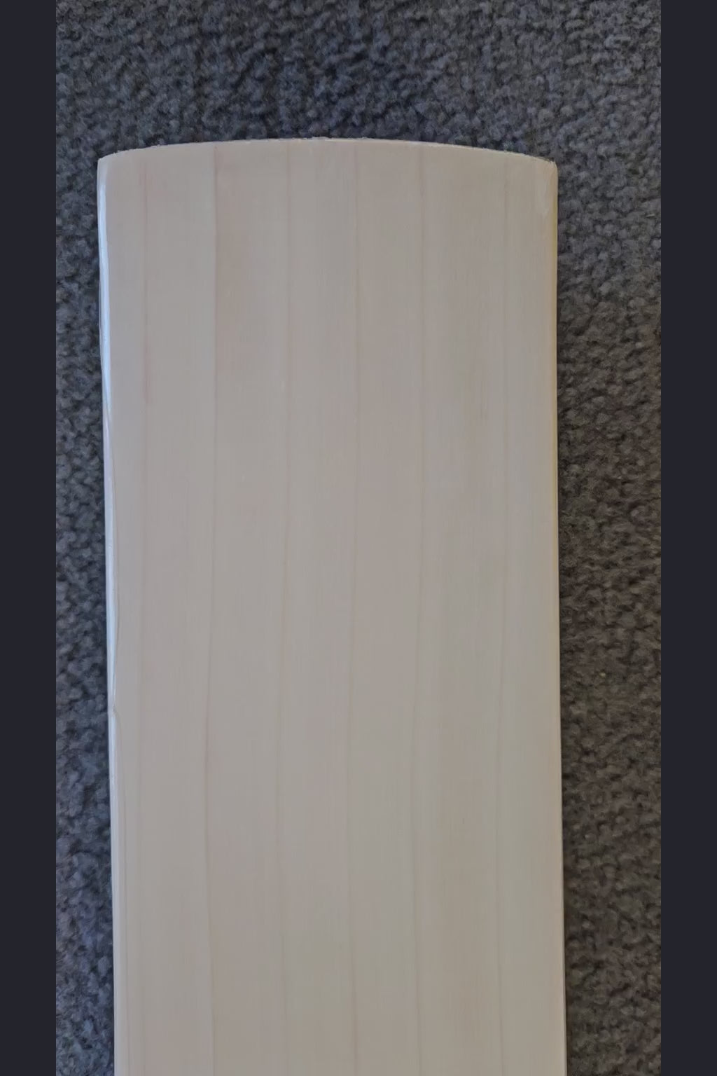 SS Ton Tim Seifert Player Max English Willow Cricket Bat - product video