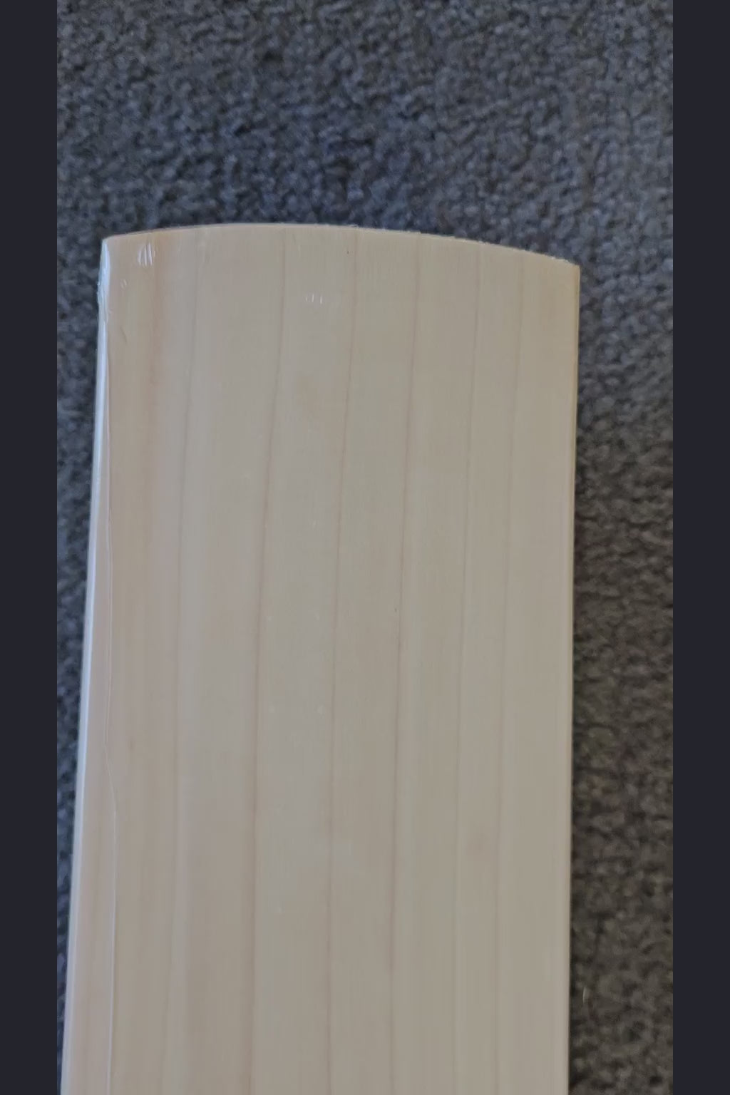 SS Ton Devon Conway Player Premium English Willow Cricket Bat - product video