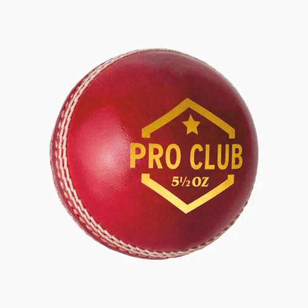 DSC Pro Club Cricket Ball