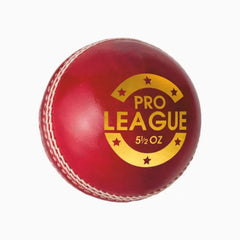 DSC Pro League Cricket Ball