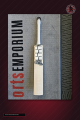 SS Ton Finn Allen Player Plus English Willow Cricket Bat - real store bat hero image