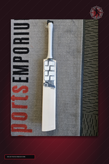 SS Ton Finn Allen Player Premium English Willow Cricket Bat - real store bat hero image