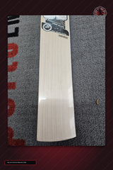 SS Ton Finn Allen Player Replica English Willow Cricket Bat - real store bat face detail