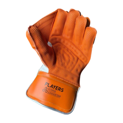 SS TON Players Wicket Keeping Gloves