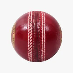 DSC Swing Cricket Ball