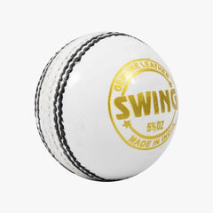 DSC Swing Cricket Ball