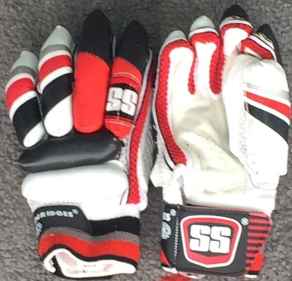 SS RJ Gloves